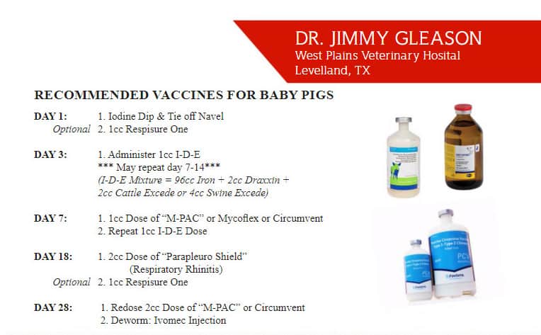 Dr Gleason Baby Pig Vaccination Protocol